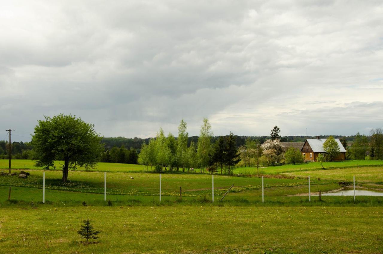 Holiday home Domek Rospuda