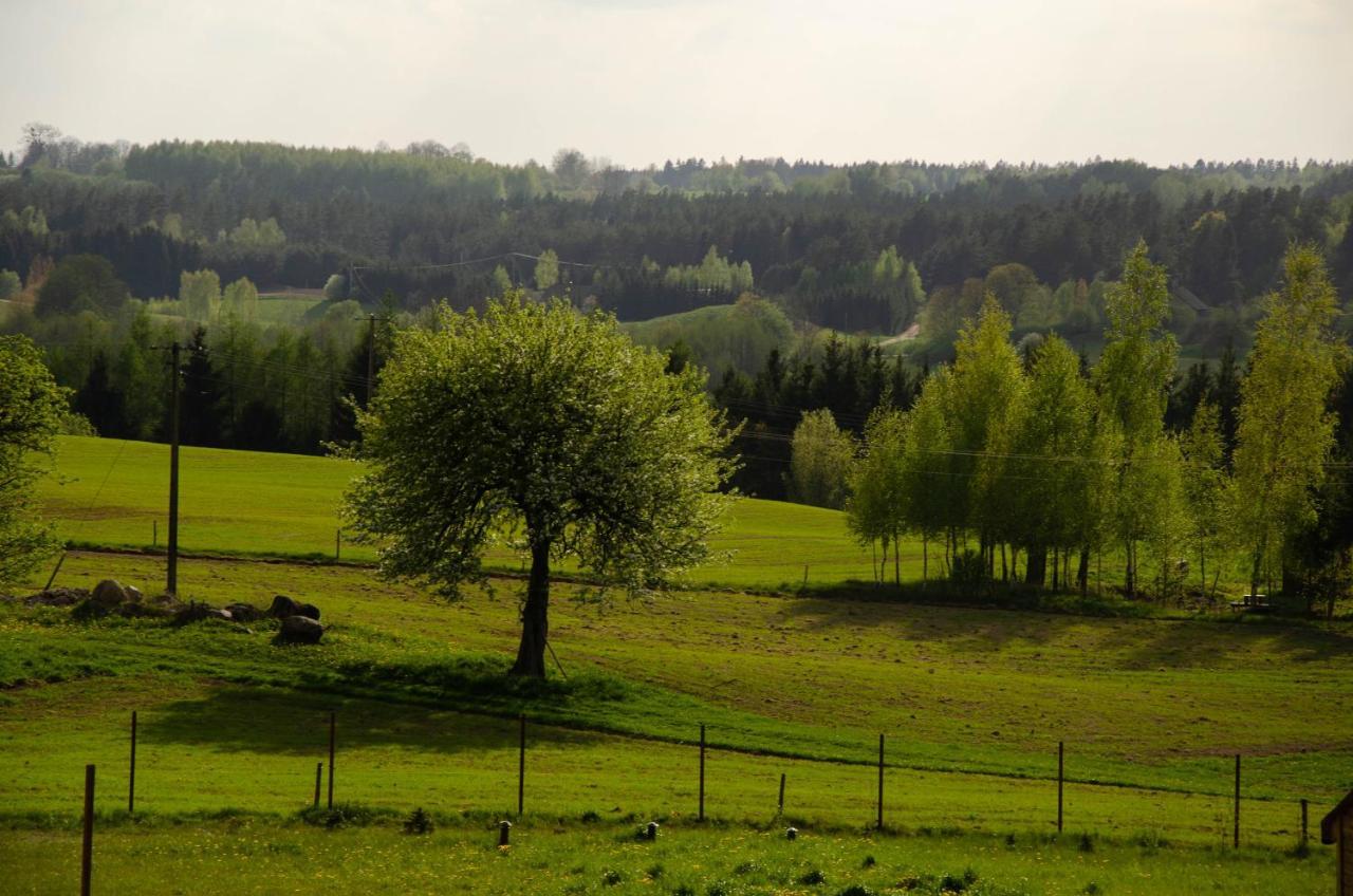 Holiday home Domek Rospuda Rospuda